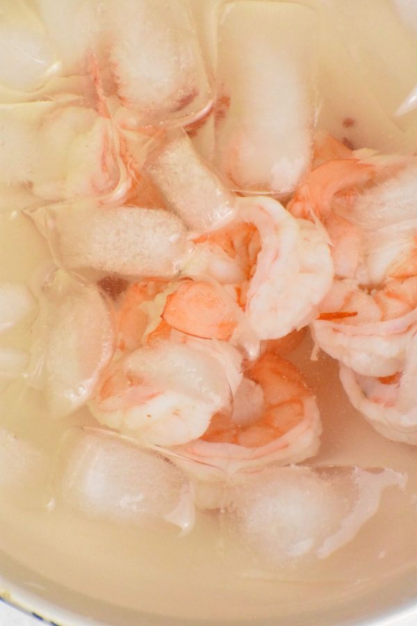 Cooked shrimp in an ice water bath.