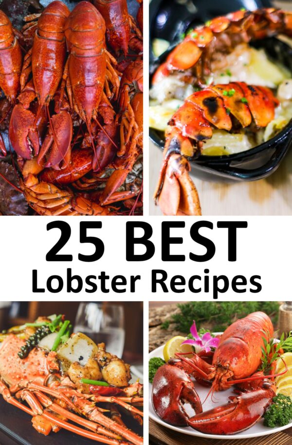25种最好的龙虾食谱。