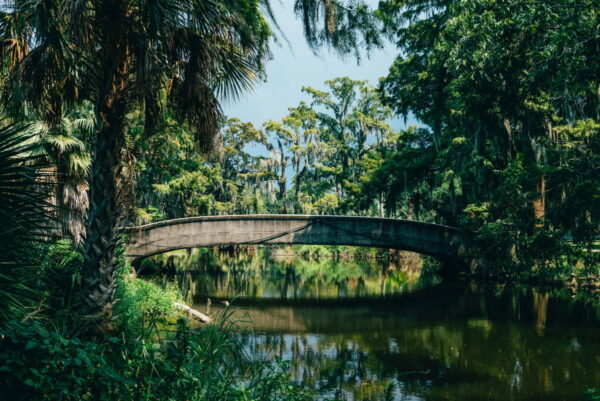 新奥尔良市公园的一座桥。