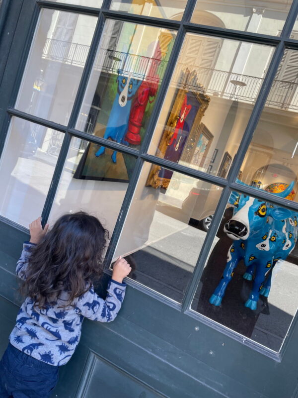 诺亚在画廊的橱窗里看。