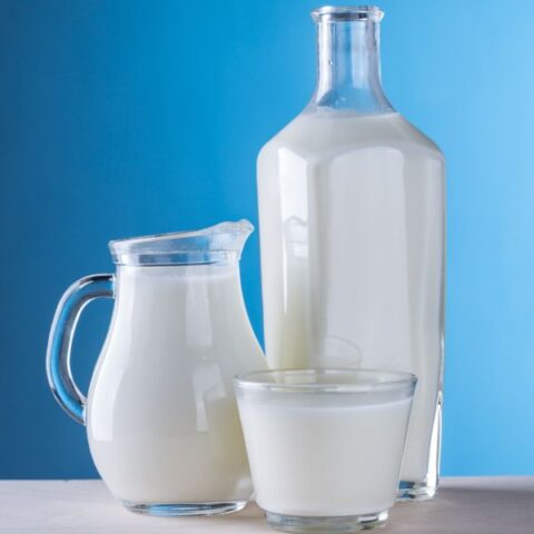 牛奶替代品的专题图片